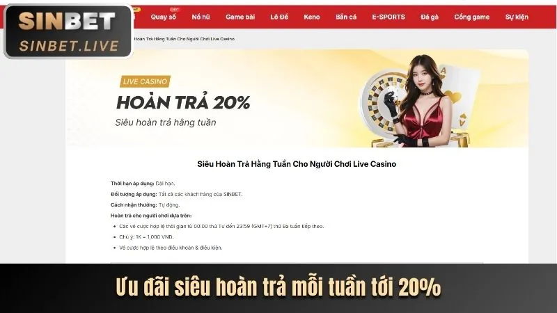 Biểu đồ hiệu suất trang web Sodo88